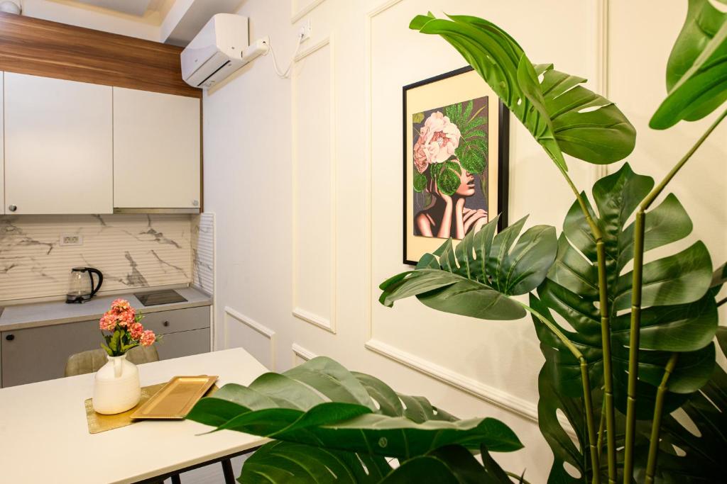 Exotic Park View photo 5